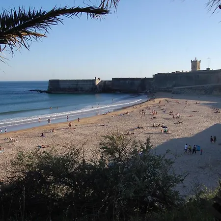 Vinaika Loft アパート *